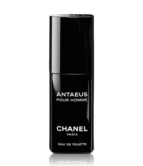 chanel antaeus edp|Chanel antaeus fragrantica.